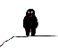 InuBebop's Avatar